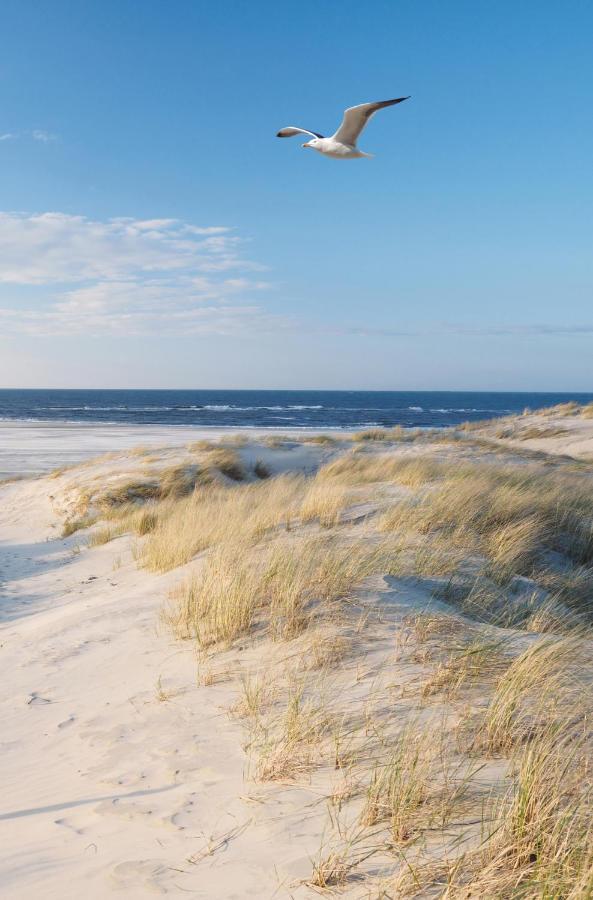 Sea You Hotel Noordwijk Kültér fotó