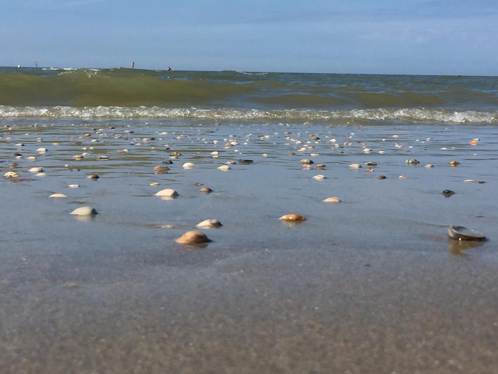 Sea You Hotel Noordwijk Kültér fotó